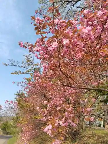 厚別神社(北海道)