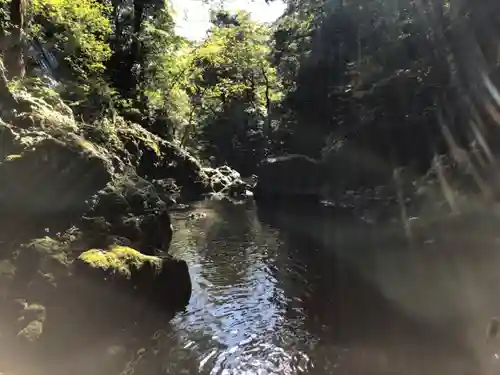 元伊勢天岩戸神社の自然
