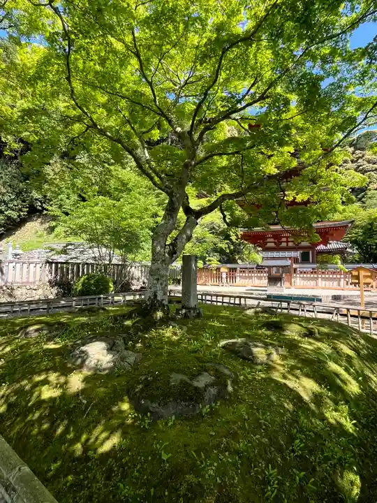 長谷寺(奈良県)