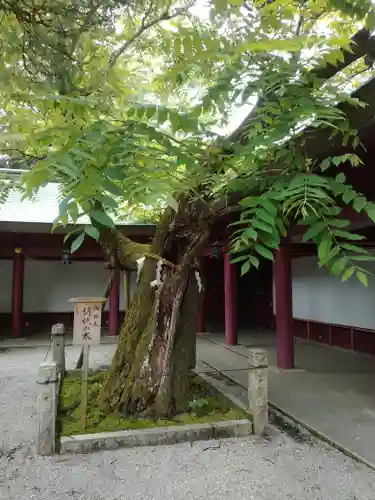 笠間稲荷神社の庭園