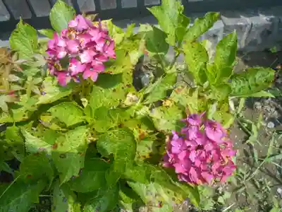 理智光寺跡（理智光寺址）＜史跡＞の自然