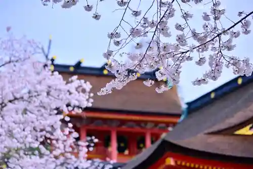 富士山本宮浅間大社(静岡県)