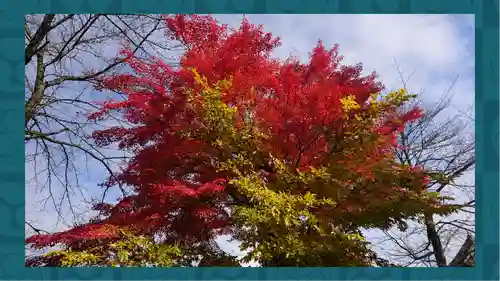 茂左衛門地蔵尊 千日堂(群馬県)