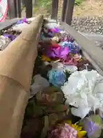 群馬県護国神社(群馬県)