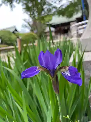 五條天神社(東京都)