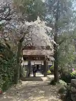 法善寺の山門・神門
