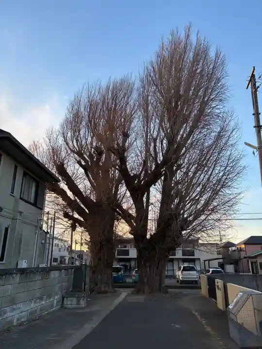 愛宕神社(千葉県)