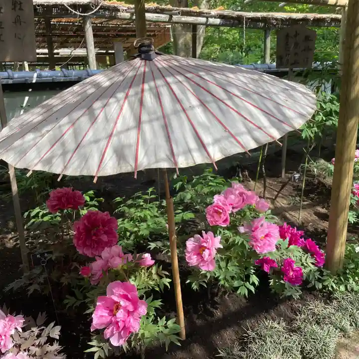 上野東照宮(東京都)