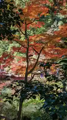 くろ谷 金戒光明寺(京都府)
