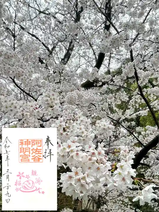 阿佐ヶ谷神明宮(東京都)