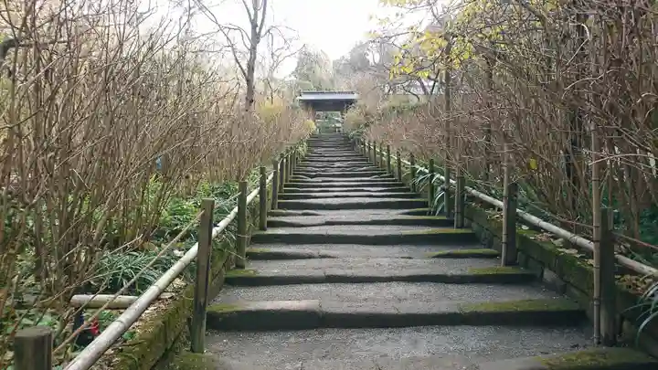 明月院(神奈川県)