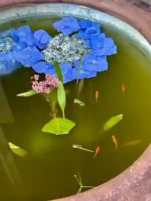 極楽寺(静岡県)