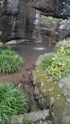 観音院(埼玉県)