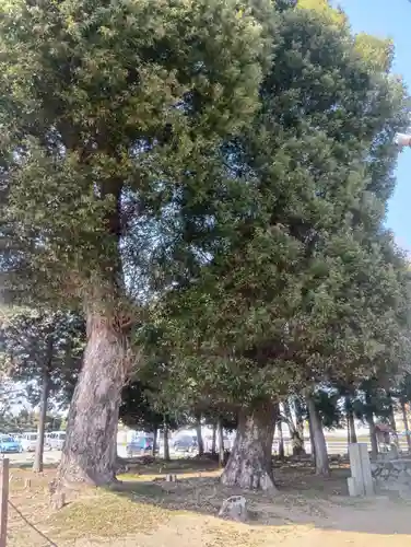 八王子社(愛知県)