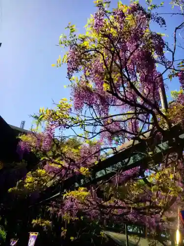 國領神社(東京都)
