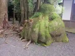 伊雜宮（皇大神宮別宮）の自然