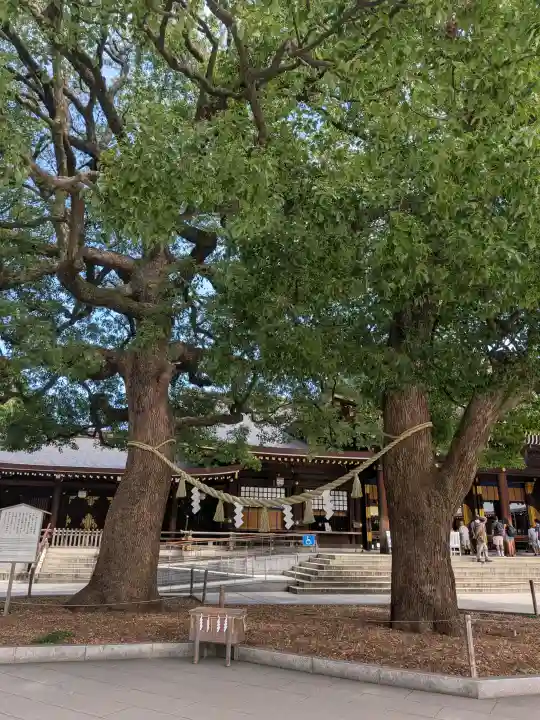 明治神宮(東京都)