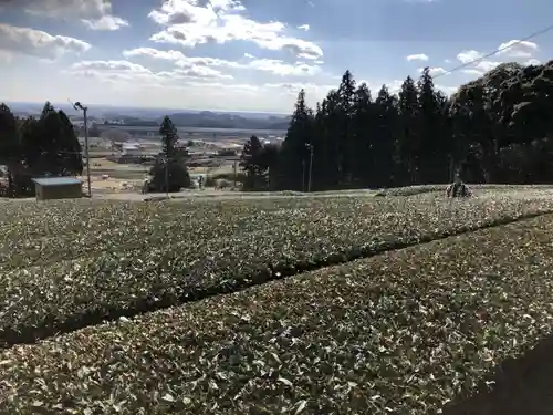 桃林寺の景色