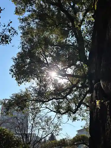 穴八幡宮(東京都)