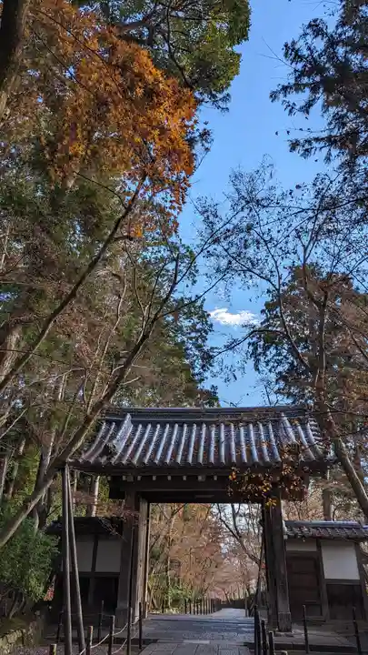 光明寺(粟生光明寺)(京都府)