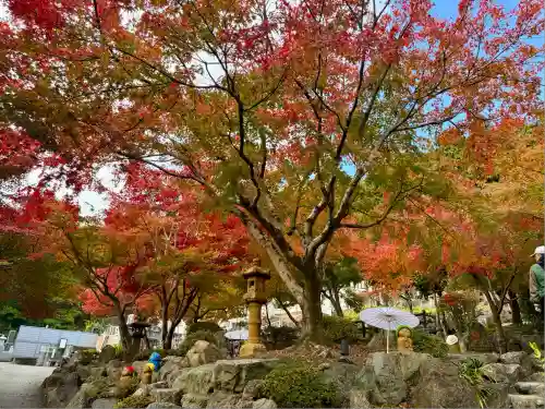宝徳寺(群馬県)