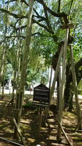 足羽神社(福井県)