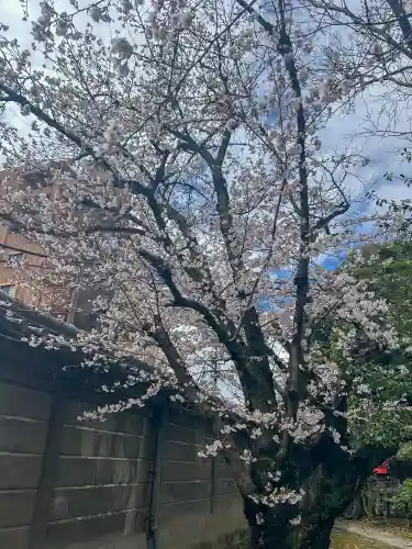 真清田神社の{uncategorized: "未分類", other: "その他", undefined: "問題あり", building: "その他建物", grave: "お墓", sacred_gate: "鳥居", guardian: "狛犬", statue: "像", buddha: "仏像", history: "歴史", nature: "自然", garden: "庭園", animal: "動物", pagoda: "塔", temizu: "手水舎", mountain_gate: "山門・神門", sanctuary: "本殿・本堂", subordinate: "末社・摂社", art: "芸術", scenery: "景色", jizo: "地蔵", ema: "絵馬", goshuin: "御朱印", omikuji: "おみくじ", items: "授与品その他", amulet: "お守り", goshuincho: "御朱印帳", eats: "食事", festival: "お祭り", votive_dance: "神楽", shichigosan: "七五三参", wedding: "結婚式", experience: "体験その他", initially: "初詣", around: "周辺", anti_infection: "感染症対策"}