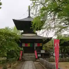 鑁阿寺の建物その他