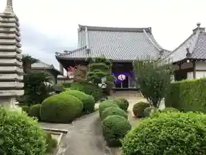 遠照山 光明寺(尼崎大仏)(兵庫県) 2023年10月28日(土)〜(2023年10月25日(水) 22時20分18秒投稿)