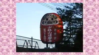 達磨寺(群馬県)