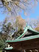 酒門神社の本殿・本堂