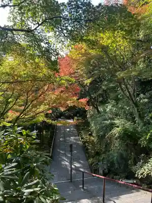 長谷寺(神奈川県)
