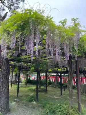 葛井寺(大阪府)