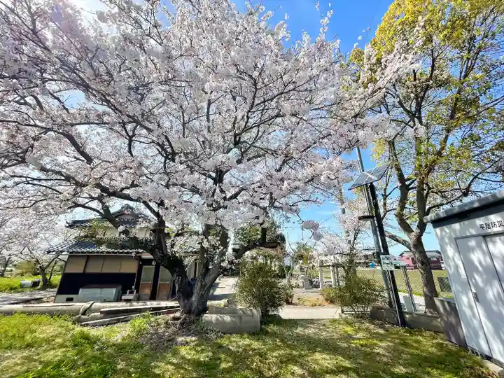 八幡神社(滋賀県)