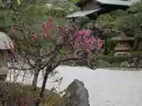 本蓮寺の庭園