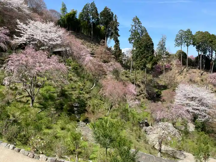 善峯寺(京都府)