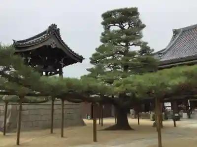 本福寺(滋賀県)