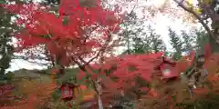 鍬山神社の自然