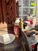 明星稲荷神社の{uncategorized: "未分類", other: "その他", undefined: "問題あり", building: "その他建物", grave: "お墓", sacred_gate: "鳥居", guardian: "狛犬", statue: "像", buddha: "仏像", history: "歴史", nature: "自然", garden: "庭園", animal: "動物", pagoda: "塔", temizu: "手水舎", mountain_gate: "山門・神門", sanctuary: "本殿・本堂", subordinate: "末社・摂社", art: "芸術", scenery: "景色", jizo: "地蔵", ema: "絵馬", goshuin: "御朱印", omikuji: "おみくじ", items: "授与品その他", amulet: "お守り", goshuincho: "御朱印帳", eats: "食事", festival: "お祭り", votive_dance: "神楽", shichigosan: "七五三参", wedding: "結婚式", experience: "体験その他", initially: "初詣", around: "周辺", anti_infection: "感染症対策"}