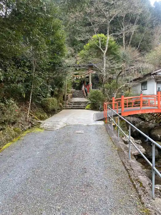 代々木神社の景色