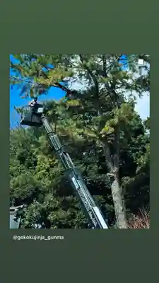 群馬県護国神社(群馬県)