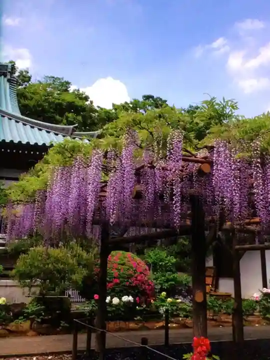 愛染院(東京都)