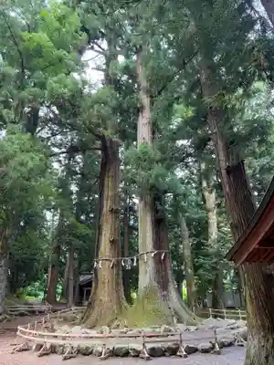 河口浅間神社(山梨県)