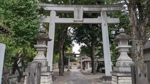 八幡大神社の鳥居