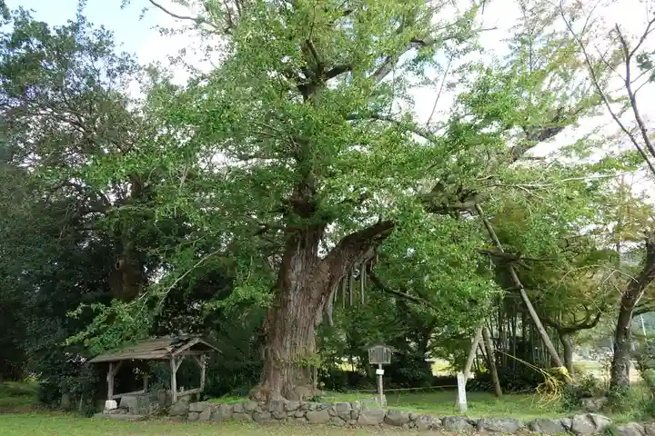 國分寺(国分寺)の自然