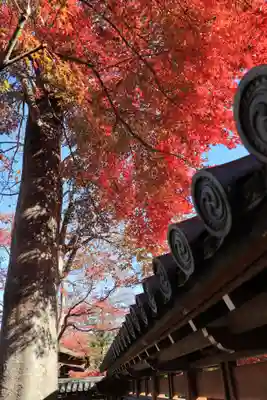 能仁寺(埼玉県)