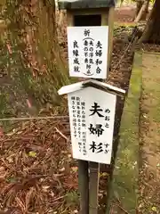 若狭彦神社（上社）(福井県)