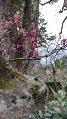 北野天満宮(京都府)
