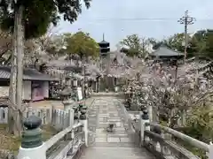 くろ谷 金戒光明寺(京都府)