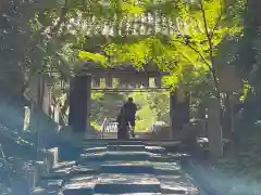 高台寺（高台寿聖禅寺・高臺寺）(京都府)